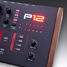 P12-Module-Downloads